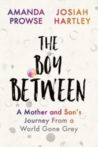 Cover of The Boy Between