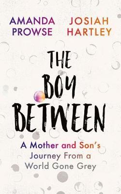 Book cover for The Boy Between