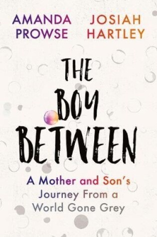 Cover of The Boy Between