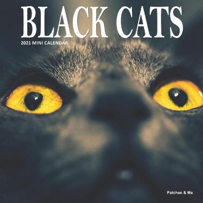 Book cover for Black Cats