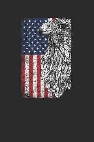 Cover of Eagle USA Flag