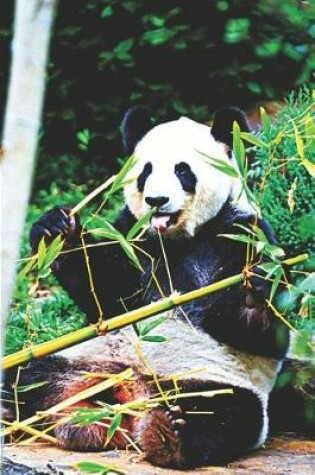 Cover of Panda Lovers Journal