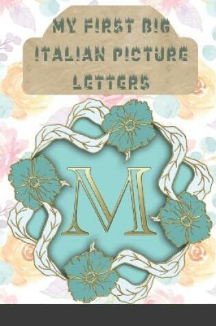 Cover of My First Big Italian Picture letters