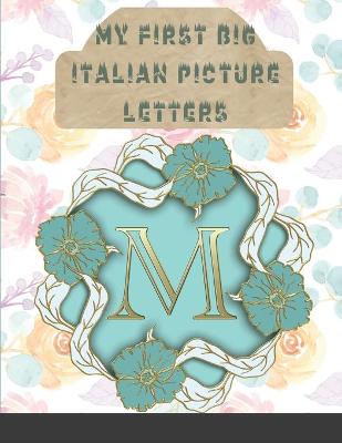 Book cover for My First Big Italian Picture letters