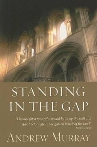 Cover of Standing in the Gap