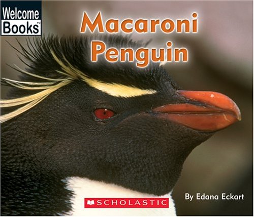 Book cover for Macaroni Penguin