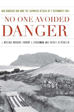 Cover of No One Avoided Danger