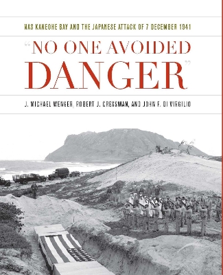 Book cover for No One Avoided Danger