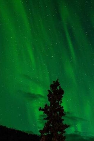 Cover of Website Password Organizer Green Northern Lights Aurora Borealis in Alaska