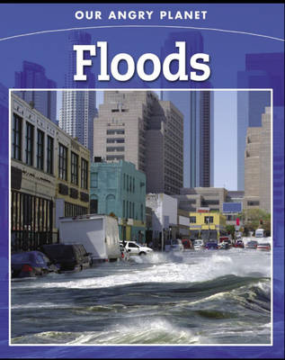 Cover of Floods