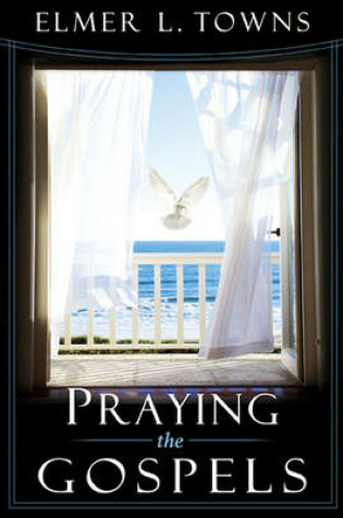 Cover of Praying the Gospels