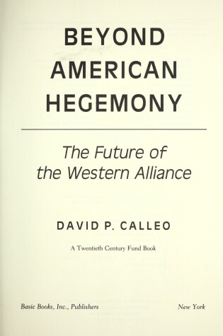 Cover of Beyond American Hegemony