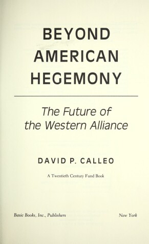 Book cover for Beyond American Hegemony