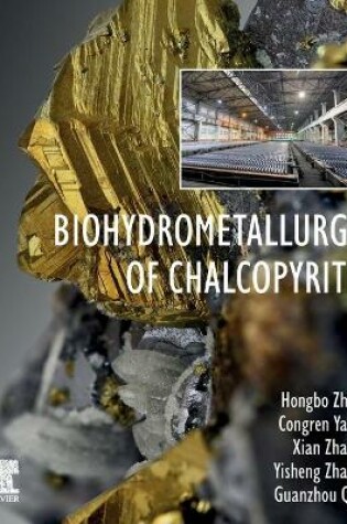 Cover of Biohydrometallurgy of Chalcopyrite