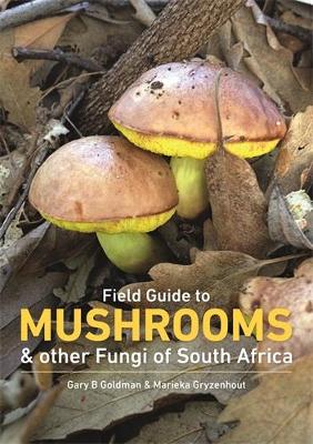 Book cover for Mushrooms and Other Fungi in South Africa