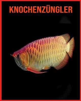 Book cover for Knochenzüngler