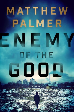 Book cover for Enemy of the Good