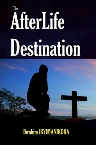Cover of The Afterlife Destination