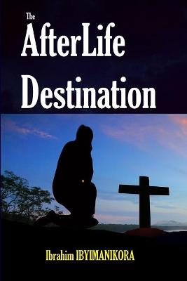 Book cover for The Afterlife Destination