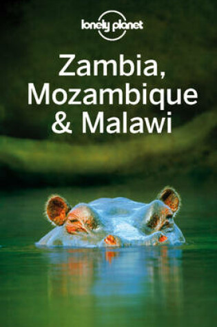 Cover of Lonely Planet Zambia, Mozambique & Malawi