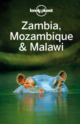 Book cover for Lonely Planet Zambia, Mozambique & Malawi
