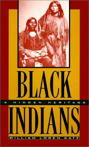 Book cover for Black Indians