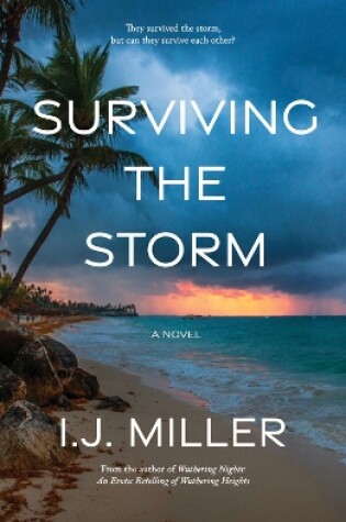 Cover of Surviving the Storm