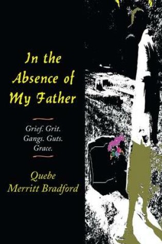 Cover of In the Absence of My Father