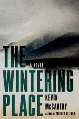 Cover of The Wintering Place