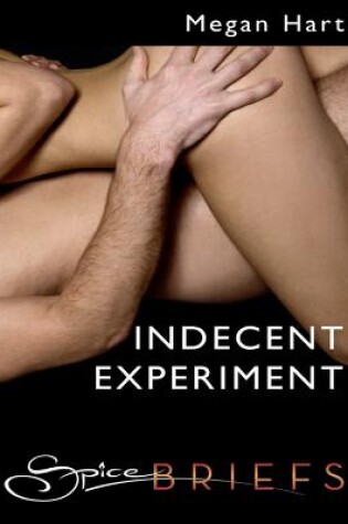 Cover of Indecent Experiment