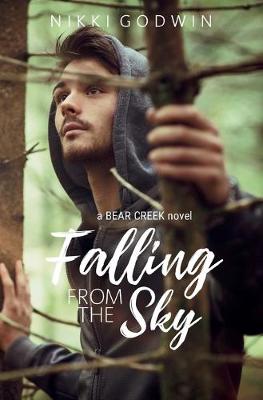 Book cover for Falling From The Sky