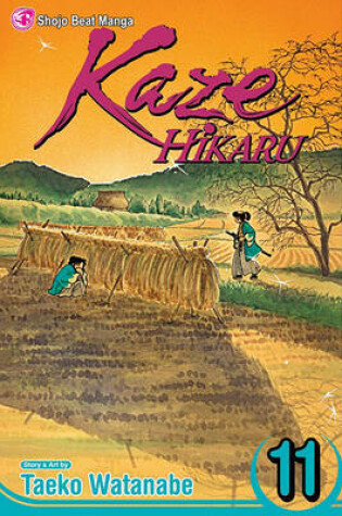 Cover of Kaze Hikaru, Vol. 11