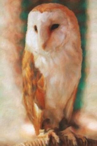 Cover of Barn Owl Perched On A Chair - Lined Notebook with Margins