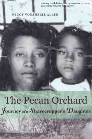 Cover of The Pecan Orchard