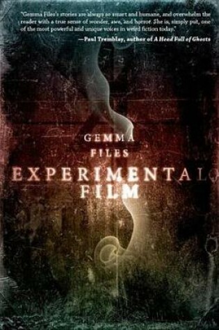 Cover of Experimental Film