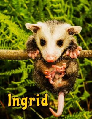 Book cover for Ingrid