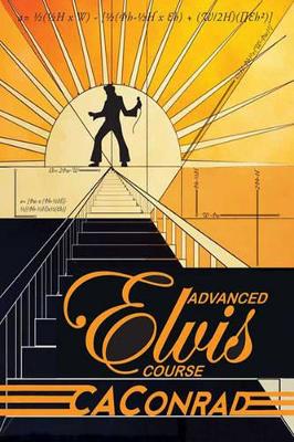 Book cover for Advanced Elvis Course