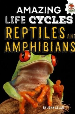 Cover of Reptiles and Amphibians - Amazing Life Cycles