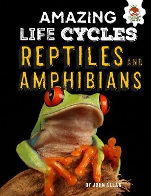 Book cover for Reptiles and Amphibians - Amazing Life Cycles