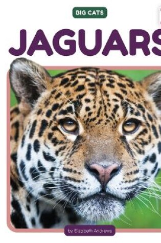 Cover of Jaguars