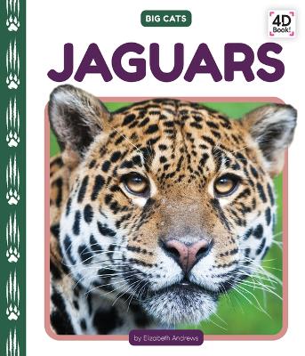 Book cover for Jaguars