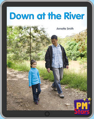 Book cover for Down at the River