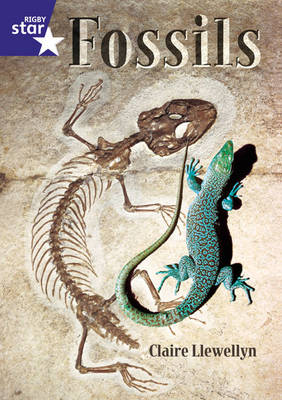 Book cover for Rigby Red Giant 2, Fossils Big Book