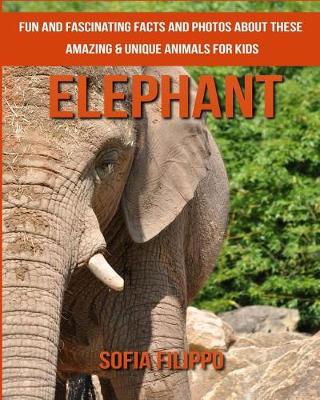 Book cover for Elephant