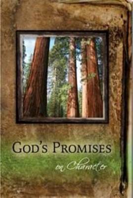 Book cover for God's Promises on Character