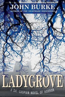 Book cover for Ladygrove