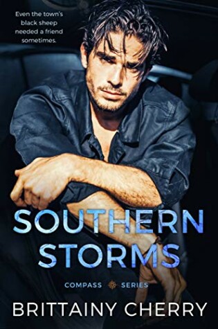 Cover of Southern Storms