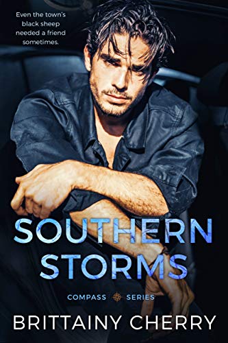 Book cover for Southern Storms