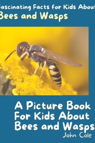 Cover of A Picture Book for Kids About Bees and Wasps