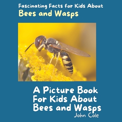 Book cover for A Picture Book for Kids About Bees and Wasps